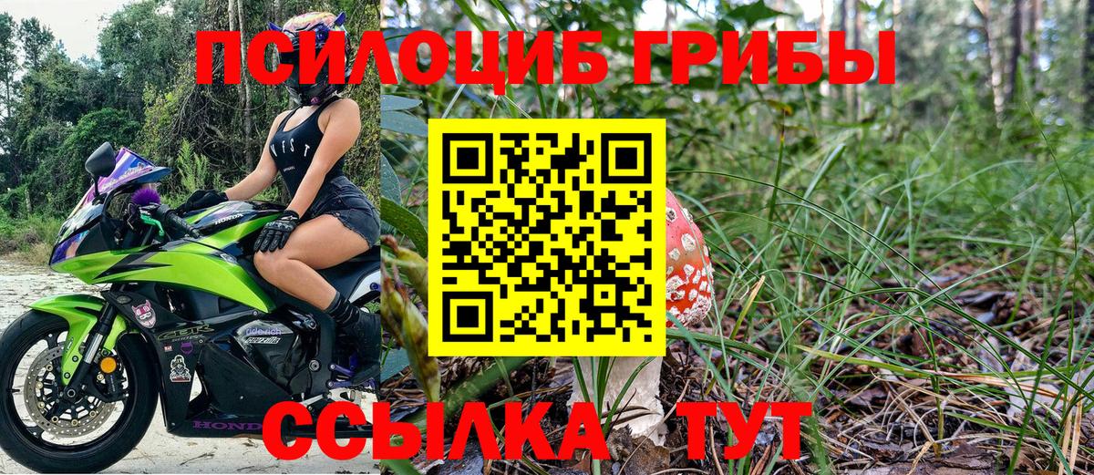 Галлюциногенные грибы Psilocybe Артёмовский
