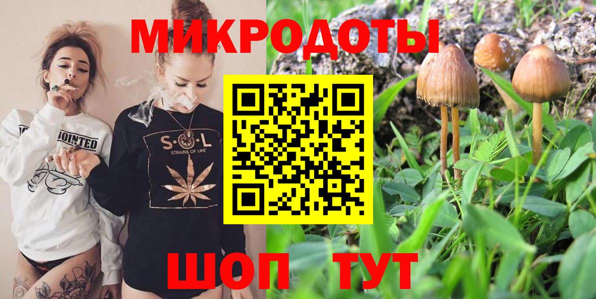 Псилоцибиновые грибы GOLDEN TEACHER  купить наркотик  Артёмовский  Вход с VPN 